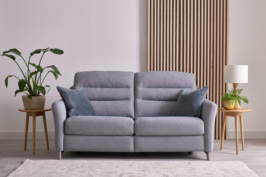 Grey sofa in a living room with plants and a lamp
